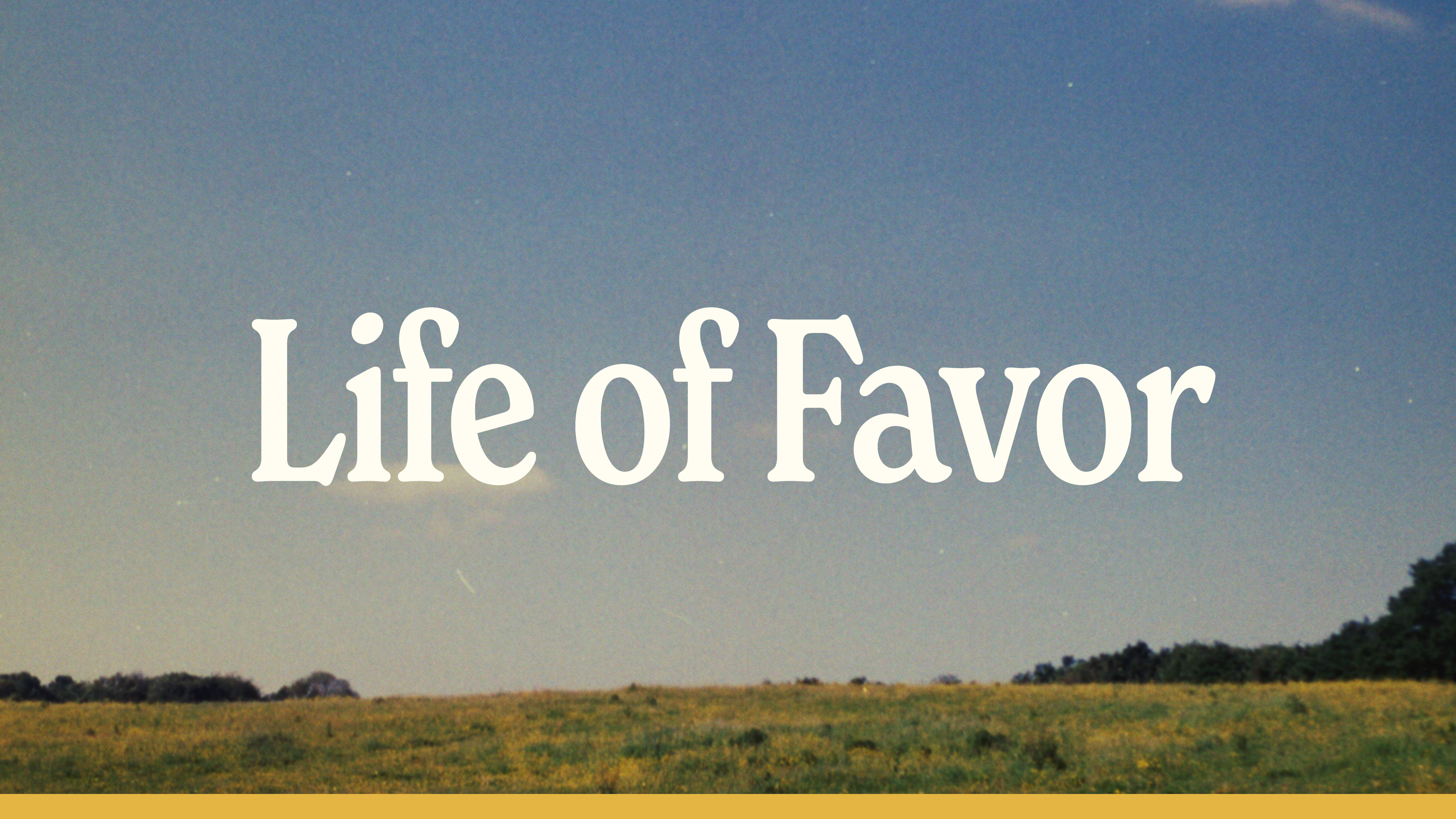 LIfe Of Favor