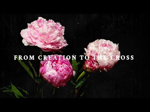 Creation to the Cross 